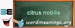 WordMeaning blackboard for citrus nobilis